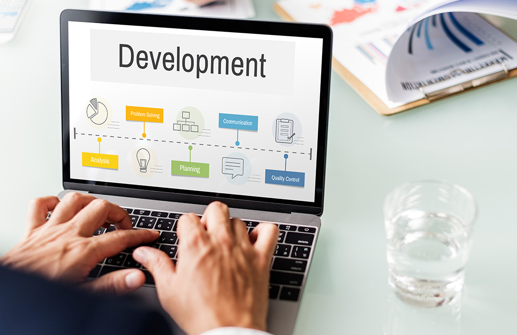wordpress development